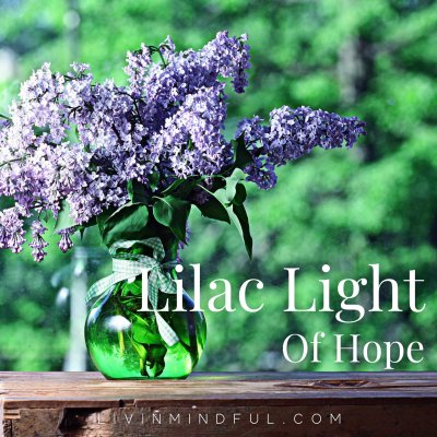 Meditation - Lilac Light Of Hope