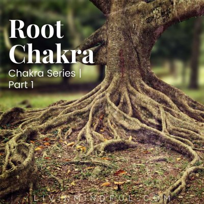 Meditation - Root Chakra